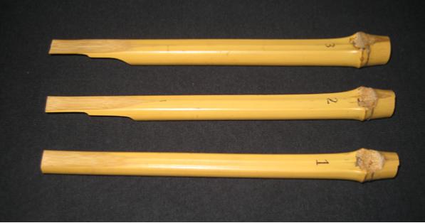 Bamboopenmodels