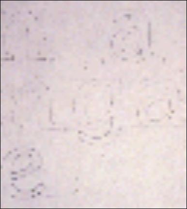 StoneInformalDrawings